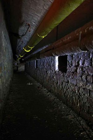 The service tunnels below the hospital. There was a rumor these tunnels were used to transport patients around the hospital.  